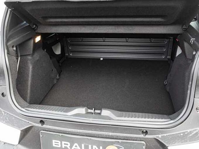 Citroen &euml;-C3 VAN ELEKTRO