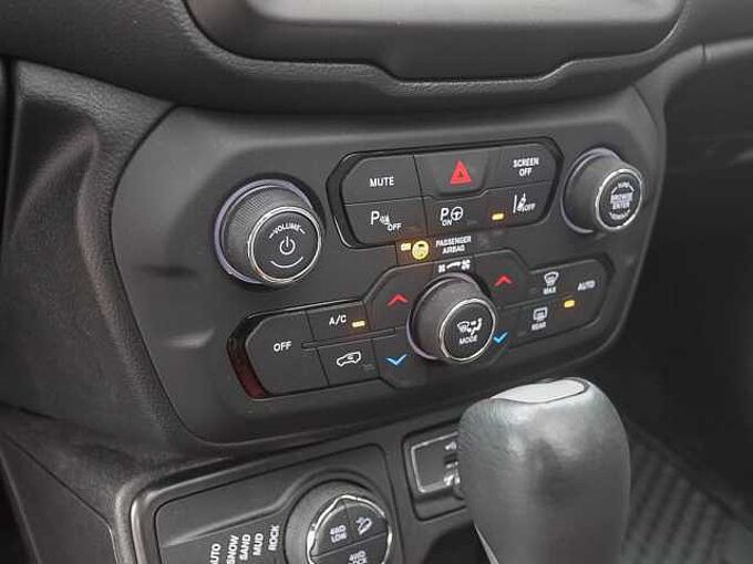 Jeep Renegade 2.0 MultiJet Trailhawk Panorama